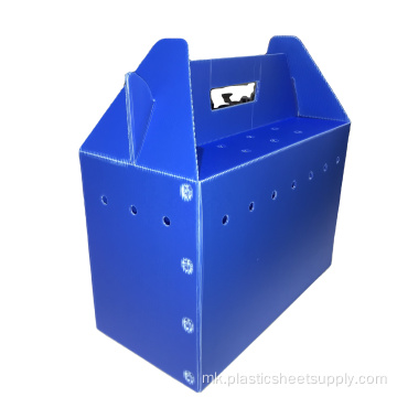 Прилагодено PP шупливо брановидна пластична кутија за пакување на преклопување pp